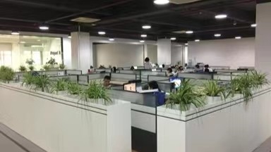 الصين Shandong Duohe Import And Export Co., Ltd. ملف الشركة